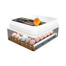 Incubadora Automática De Ovos Para 16 Ovos, Mini Incubadora Elétrica Dupla Para Galinhas, Gansos,