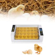 Incubadora de ovos Yosoo 24 Eggs com controle automático de temperatura