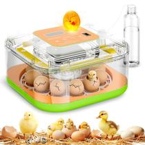 Incubadora ZOZOO para 12 ovos com viragem automática e controle de umidade Incubadora ZOZOO para 12 ovos com viragem automática e controle de umidade