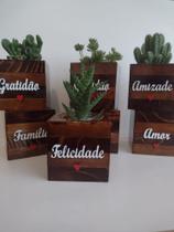 INDIVIDUAL / Cachepô em Marchetaria para Mini Cactos e Suculentas. INDIVIDUAL / Cachepô em Marchetaria para Mini Cactos e Suculentas.