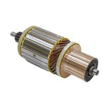 Induzido Do Motor De Partida Caminhão P124 Volvo Volvo B12 Fh12 Fh420 Fh520 Vm210 Vm260 Vm310 Man 24V 13 Estrias Induzido Do Motor De Partida Caminhão P124 Volvo Volvo B12 Fh12 Fh420 Fh520 Vm210 Vm260 Vm310 Man 24V 13 Estrias