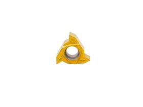 Inserto Pastilha Rosca Interna R166 22 60º Passo 3,0 A 6,0mm