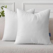 Insertos de almofada MIULEE 18 x 18 polegadas, conjunto de 2