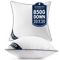 Insertos de travesseiro MIULEE 20x20 polegadas Premium Down Alternative x2