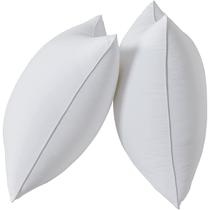 Insertos de travesseiro Qeils 22 x 22 cm Conjunto de 2 poliéster branco