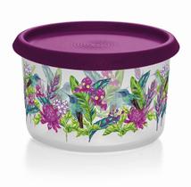 Instantânea beija flor