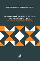 Institutos Fundamentais Do Processo Civil: um estudo dogmático e sistêmico Institutos Fundamentais Do Processo Civil: um estudo dogmático e sistêmico