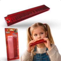 Instrumento musical gaita harmonica 24 vozes Instrumento musical gaita harmonica 24 vozes
