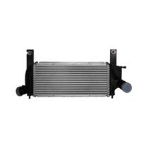 Intercooler - Frontier 2008 A 2012 - Pc600771