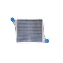 Intercooler - Howo 2005 A 2006 - Pc600050