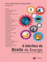 Interface Do Direito De Energia Tomo Ii, A - SYNERGIA