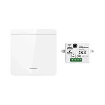 Interruptor de Luz RF433MHz - Controle Remoto Sem Fio 1/2/3 Gangues