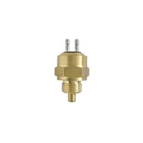 Interruptor de Transferência Sacania 113