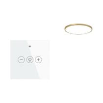 Interruptor Dimmer WiFi Inteligente Tuya Com Controle Por Toque E Voz, Compatível Com Alexa E Google