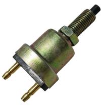 Interruptor Freio Pickup T20 T22 Van A7 A9 Shineray Original Interruptor Freio Pickup T20 T22 Van A7 A9 Shineray Original