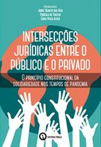 Intersecções Jurídicas entre o Público e o Privado: o princípio constitucional da solidariedade nos tempos de pandemia
