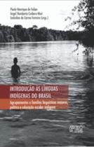 Introdução às línguas indígenas do Brasil: agrupamentos e famílias linguísticas maiores, política e educação escolar indígena - MERCADO DE LETRAS