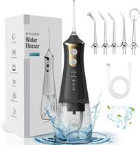 Irrigador Dental Oral Profissional Recarregavél 300ml Higiene Limpeza Bucal Portátil Limpador de Den