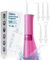 Irrigador oral sem fio Water Dental Flosser WELLFINE 300mL