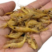 Isca Artificial Camarão Natural Em Conserva Para Pesca Curvina Tucunare Traira E Outros Peixes