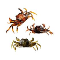 Isca Artificial De Silicone Macia 3D Simulação Caranguejo Polvo 10cm Com Anzol Para Pesca Em Água Isca Artificial De Silicone Macia 3D Simulação Caranguejo Polvo 10cm Com Anzol Para Pesca Em Água