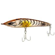 Isca Artificial Hunter Bait 9cm 8g Tigrada Transparente - Yara Cor 58