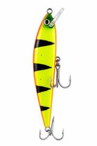 Isca atlanticus 145 - k-ranx atlanticus 145:cor 5