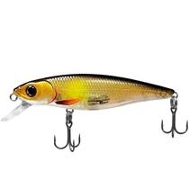 Isca Deconto Belly Dancer 66 SF Isca Deconto Belly Dancer 66 SF