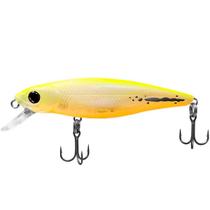 Isca Deconto Belly Dancer 66 SF