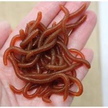 Isca Minhoca Artificial 10 Cm 20 Peças Isca Verme Mar Rio