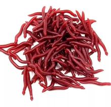 Isca Minhoca Artificial - 50 Un Isca Minhoca Artificial - 50 Un