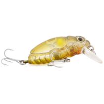 Isca Strike Pro Beetle Buster 40
