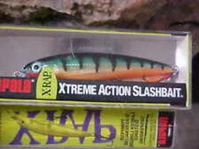 Isca x rap xr08 p Isca x rap xr08 p