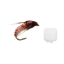 Iscas Artificiais para Pesca de Truta - 12 Caddis Pupae Ninfa (6 Tamanhos) com Ganchos