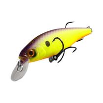 Iscas De Pesca BEARKING Squad Minnow Em Cores Sortidas 95mm 14.8g 65mm 6g Sistema De Peso De
