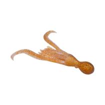 Iscas De Polvo Luminosas Macias 5 Peças De Silicone Para Pesca De Atum, Isca De Mar De Alta Iscas De Polvo Luminosas Macias 5 Peças De Silicone Para Pesca De Atum, Isca De Mar De Alta