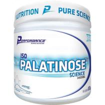 Iso Palatinose 300g - Performance Iso Palatinose 300g - Performance