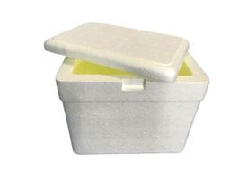 Isoterm Caixa Isopor 18 Litros Térmica Cerveja Gelo Refr