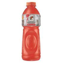 Isotônico de Frutas Cítricas GATORADE 500ml Isotônico de Frutas Cítricas GATORADE 500ml