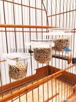 it 10 Porta vitaminas de vidro para pássaros malha fina e malha larga it 10 Porta vitaminas de vidro para pássaros malha fina e malha larga