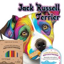 Jack Russell Terrier Jack Russell Terrier
