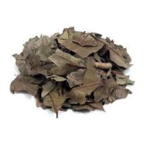 Jambolão Folha 1Kg (Syzygium cumini)