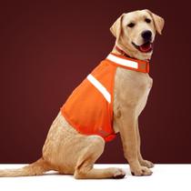 Jaqueta para cães Vizbrite High Visibility Safety Reflective Jaqueta para cães Vizbrite High Visibility Safety Reflective