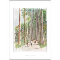 Jardim Botânico Rio de Janeiro 1808 Arte Aquarela para Quadro Decorativo A4