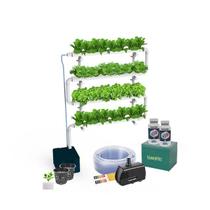 Jardim kit Hidroponico N5 Com nutrientes e Sementes