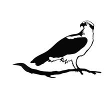 Jardim Pátio Coruja de Ferro Corvo Pega Pássaro Animal Plug-in Decoração