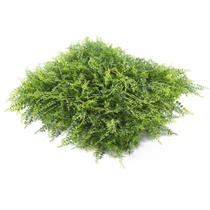 Jardim Vertical Amazonia GG009A (Pack 4PÇ/1m²) Verde/Amazônia Graddus Jardim Vertical Amazonia GG009A (Pack 4PÇ/1m²) Verde/Amazônia Graddus