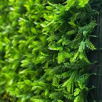 Jardim Vertical Havaiana Samambaia Gg008d (pack 4pç / 1m²)