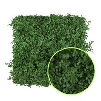 Jardim Vertical Natural Desidratado Folhagem Avenca - 1 m² Jardim Vertical Natural Desidratado Folhagem Avenca - 1 m²