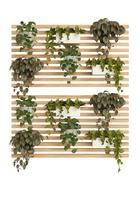 Jardim vertical Para Plantas Parede 100x60 Hortaliças Gramado Vertical